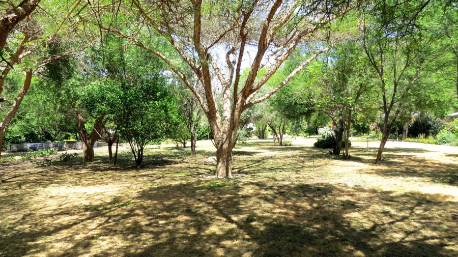 Commercial Property for Sale in Montagu Western Cape
